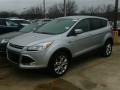 2013 Ingot Silver Metallic Ford Escape SEL 1.6L EcoBoost  photo #10