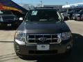 Sterling Gray Metallic - Escape XLT Photo No. 1