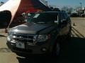 Sterling Gray Metallic - Escape XLT Photo No. 2