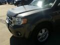 Sterling Gray Metallic - Escape XLT Photo No. 3