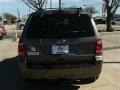 Sterling Gray Metallic - Escape XLT Photo No. 5