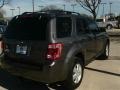 Sterling Gray Metallic - Escape XLT Photo No. 6