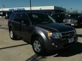 Sterling Gray Metallic - Escape XLT Photo No. 7