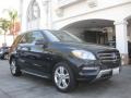 Black - ML 350 4Matic Photo No. 1