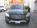 Black - ML 350 4Matic Photo No. 6