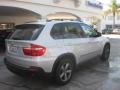 Titanium Silver Metallic - X5 3.0si Photo No. 2