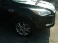 2013 Tuxedo Black Metallic Ford Escape SEL 2.0L EcoBoost 4WD  photo #9