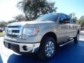 Pale Adobe 2014 Ford F150 XLT SuperCab Exterior
