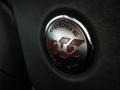 2014 Dodge Challenger R/T Badge and Logo Photo