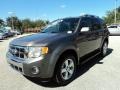 Sterling Gray Metallic 2012 Ford Escape Limited Exterior