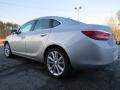 Quicksilver Metallic - Verano Convenience Photo No. 5