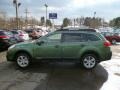 2014 Cypress Green Pearl Subaru Outback 2.5i Premium  photo #3