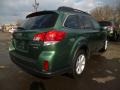 2014 Cypress Green Pearl Subaru Outback 2.5i Premium  photo #6