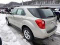 Champagne Silver Metallic - Equinox LS AWD Photo No. 6
