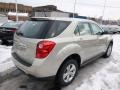 Champagne Silver Metallic - Equinox LS AWD Photo No. 8