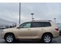 Sandy Beach Metallic - Highlander  Photo No. 6