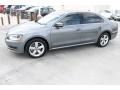 Platinum Gray Metallic - Passat TDI SE Photo No. 5