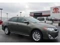 Cypress Pearl 2014 Toyota Camry XLE