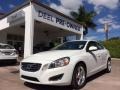 Ice White - S60 T5 Photo No. 1