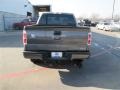 Sterling Grey - F150 STX SuperCrew Photo No. 5