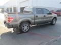 2014 Sterling Grey Ford F150 STX SuperCrew  photo #6