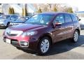 Basque Red Pearl - RDX Technology SH-AWD Photo No. 7