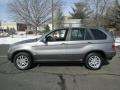 Sterling Grey Metallic - X5 3.0i Photo No. 3