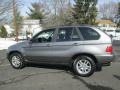 Sterling Grey Metallic - X5 3.0i Photo No. 4