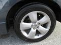 Carbon Gray Pearl - RDX Technology Photo No. 10