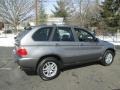 Sterling Grey Metallic - X5 3.0i Photo No. 8
