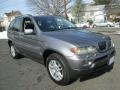 Sterling Grey Metallic - X5 3.0i Photo No. 11