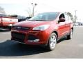 2014 Ruby Red Ford Escape SE 1.6L EcoBoost  photo #1