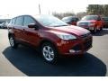 2014 Ruby Red Ford Escape SE 1.6L EcoBoost  photo #3