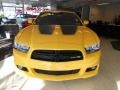 Stinger Yellow - Charger SRT8 Super Bee Photo No. 2