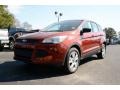 2014 Sunset Ford Escape S  photo #1