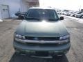 2004 Silver Green Metallic Chevrolet TrailBlazer LS 4x4  photo #3