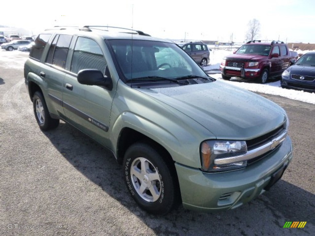 2004 TrailBlazer LS 4x4 - Silver Green Metallic / Medium Pewter photo #4