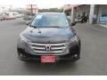 Crystal Black Pearl - CR-V EX-L Photo No. 2