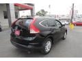 Crystal Black Pearl - CR-V EX-L Photo No. 7