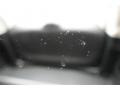 Crystal Black Pearl - CR-V EX-L Photo No. 13