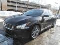 Super Black - Maxima 3.5 SV Sport Photo No. 8