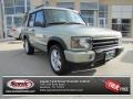 Vienna Green 2004 Land Rover Discovery SE