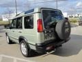 2004 Vienna Green Land Rover Discovery SE  photo #8
