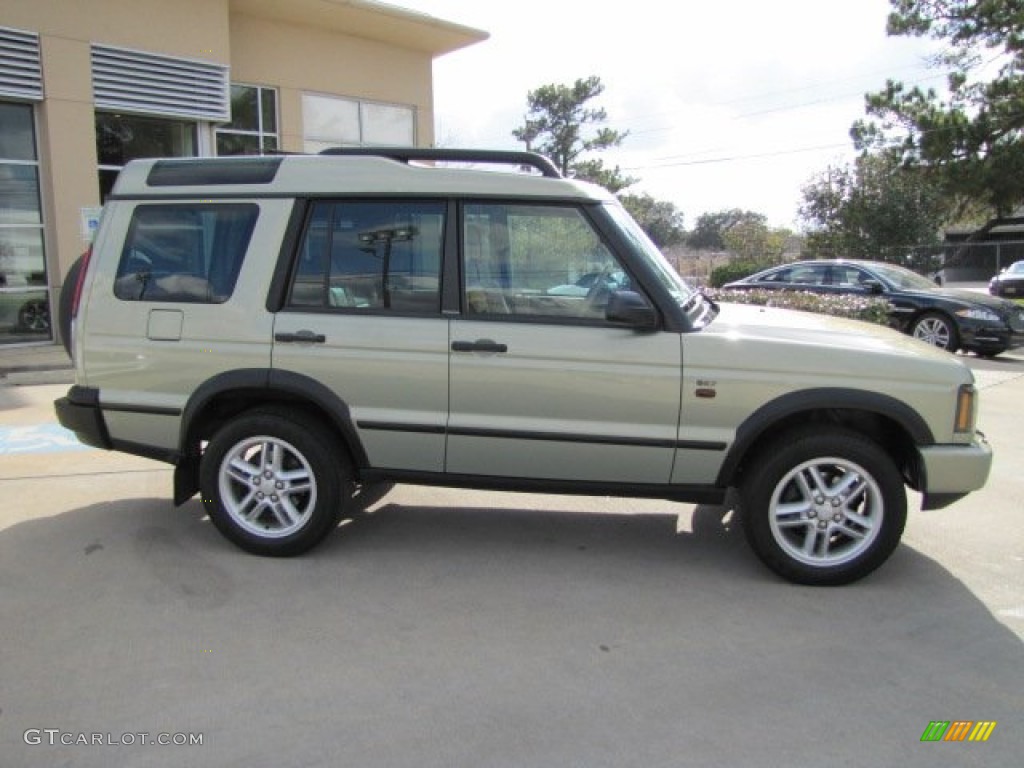 2004 Discovery SE - Vienna Green / Alpaca Beige photo #11