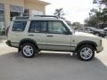 2004 Vienna Green Land Rover Discovery SE  photo #11