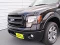 2014 Tuxedo Black Ford F150 FX2 SuperCrew  photo #11