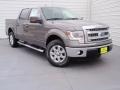 2014 Sterling Grey Ford F150 XLT SuperCrew  photo #1