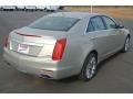 Silver Coast Metallic - CTS Luxury Sedan Photo No. 5