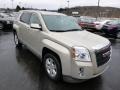 2011 Gold Mist Metallic GMC Terrain SLE AWD  photo #3