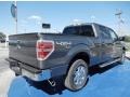 Sterling Grey 2014 Ford F150 XLT SuperCrew 4x4 Exterior